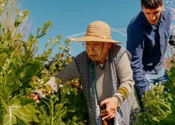 Si disa minuta aktivitete të përditshme mund të përmirësojnë shëndetin dhe të zgjasin jetën!