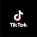 Një vit pa TikTok…