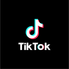 Një vit pa TikTok…