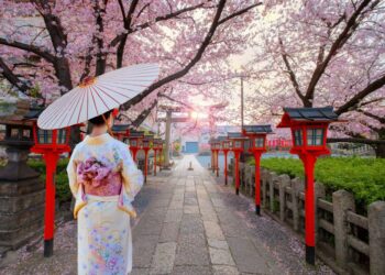 Japonia duket magjike gjatë sezonit të lulëzimit të qershive