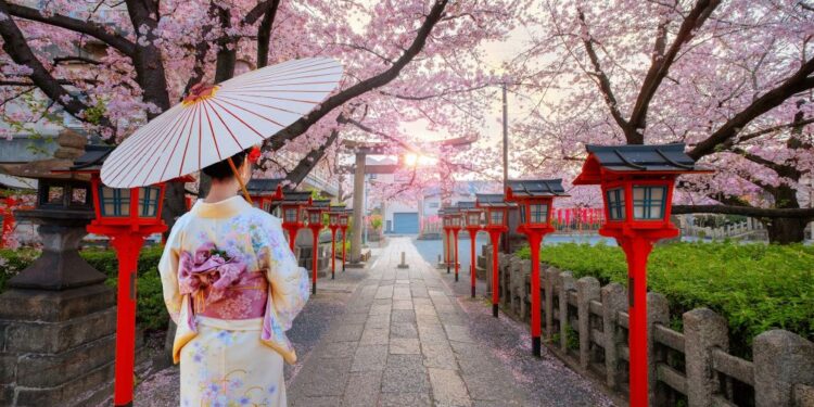 Japonia duket magjike gjatë sezonit të lulëzimit të qershive