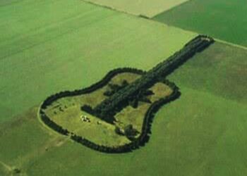 40 vite dashuri: Fermeri krijon një kitarë gjigante në pyll për gruan e tij të ndjerë