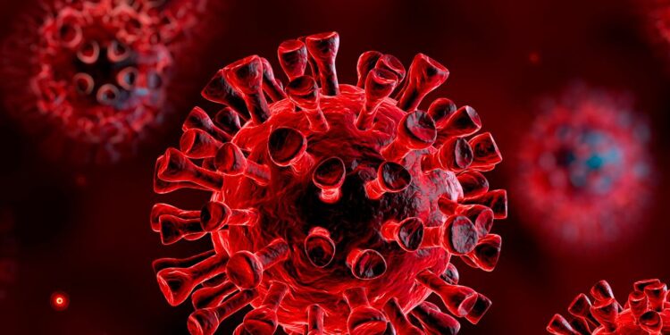 6 vite më pas, kujtesë nga pandemia e COVID-19/  Sfida, mësime dhe solidaritet