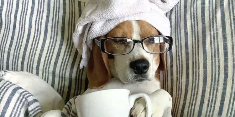 Këto katër shenja të zodiakut do të jenë të pandalshme gjatë 2026-s